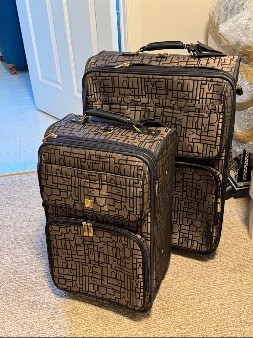 Diane von Furstenberg Brown signature large and Carry-On Luggage Set